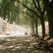 Rue européenne dense pendant une canicule, bordée de grands arbres, de sols perméables et de bancs ombragés où des habitants se protègent du soleil.
