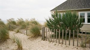 Jardin côtier naturel près d’une maison, avec des oyats, des tamaris et des ganivelles sur un sol sableux balayé par le vent marin.