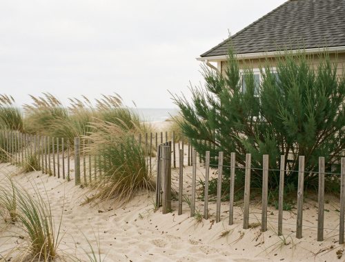 Jardin côtier naturel près d’une maison, avec des oyats, des tamaris et des ganivelles sur un sol sableux balayé par le vent marin.